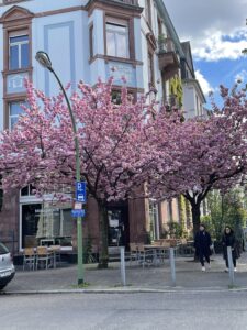 Frankfurt in Spring